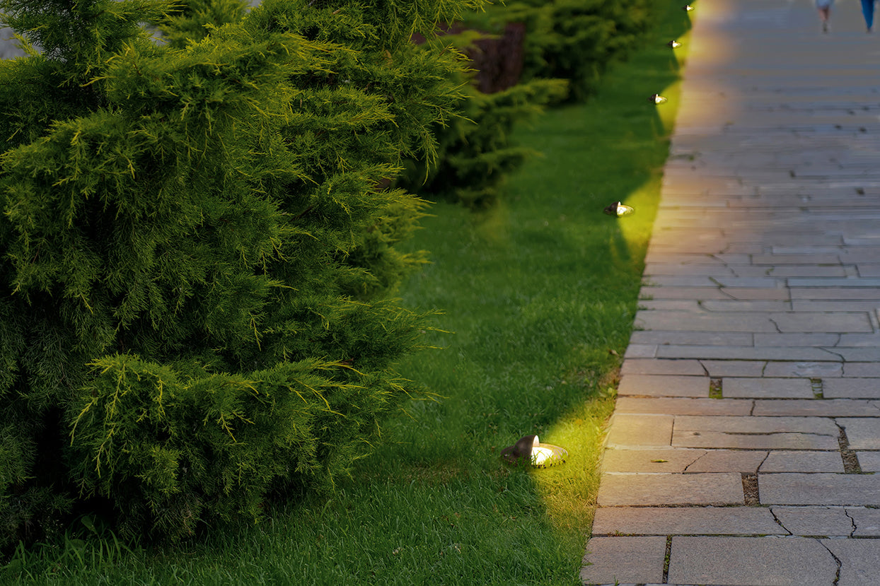 Low Voltage Brass In-ground Well Light, Beacon Top, 12V AC/DC, 5W, 140Lm, 2700K (MR16 Bulb Included)