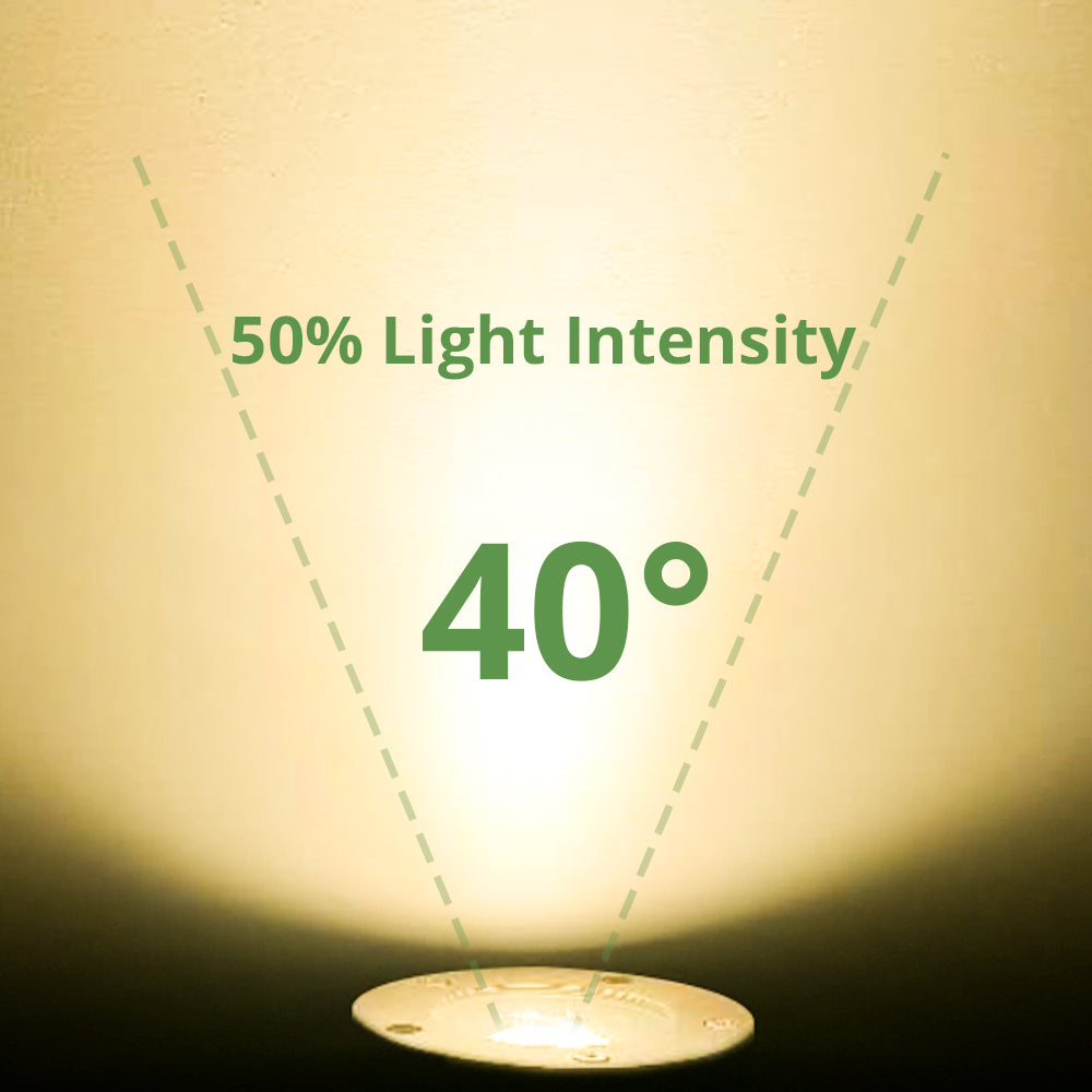 Low Voltage Brass In-ground Well Light, Flat Top, 12V AC/DC, 5W, 410Lm, 2700K (MR16 Bulb Included)