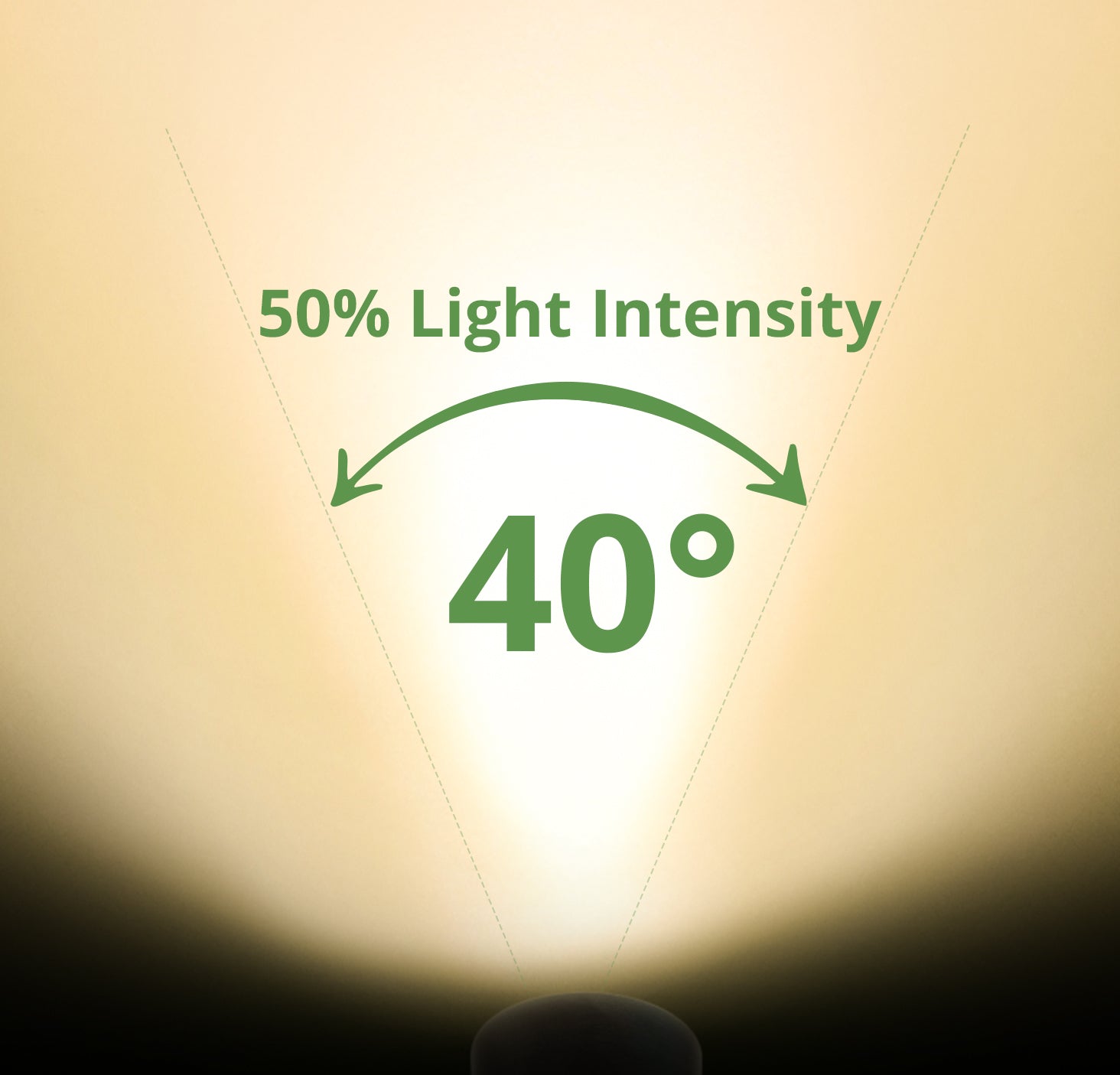 Low Voltage Shield Top Well Light, 9-15V AC/DC, 7W, 770Lm, 3000K, IP67 Rated